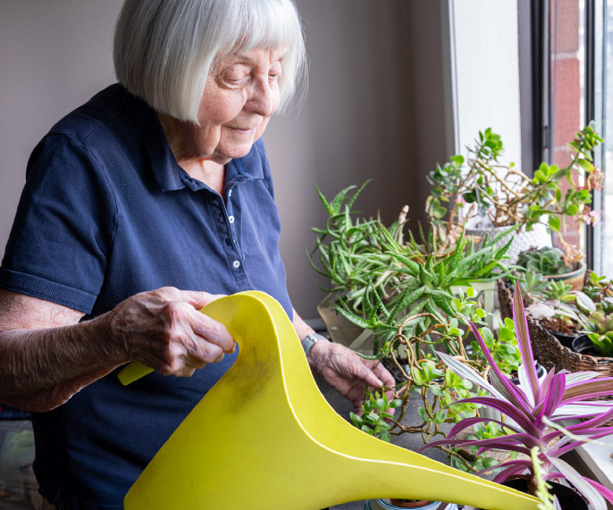Elderly Jewish woman watering her flowers